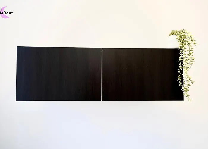 Mmrent Dinosaur * גדנסק