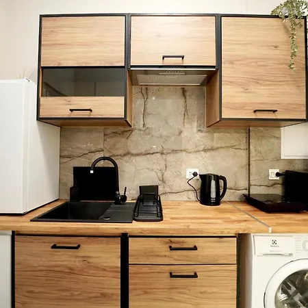 Mmrent Dinosaur Проживание в семье *