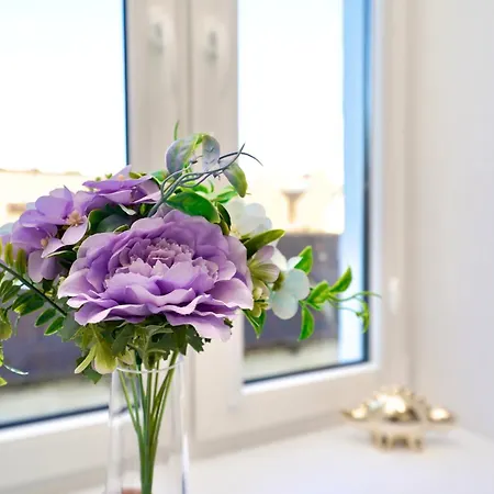 홈스테이 Mmrent Dinosaur 그단스크