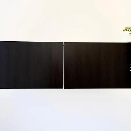 Mmrent Dinosaur * 그단스크