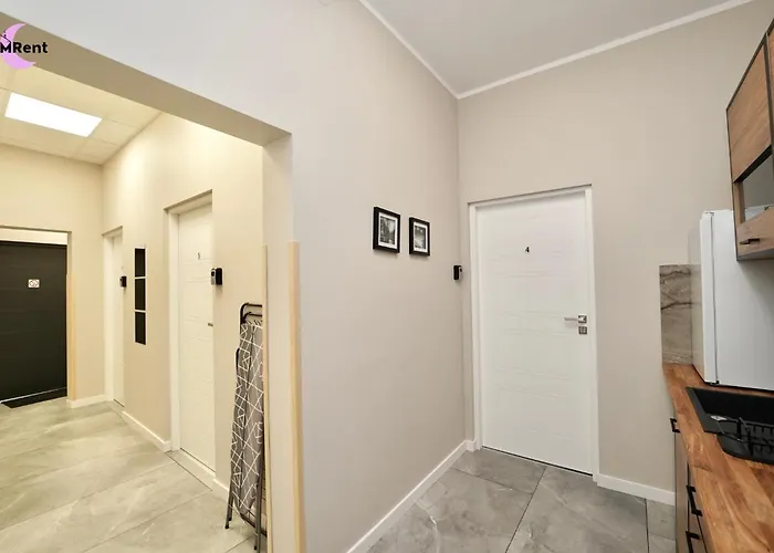 Mmrent Dinosaur Gdańsk