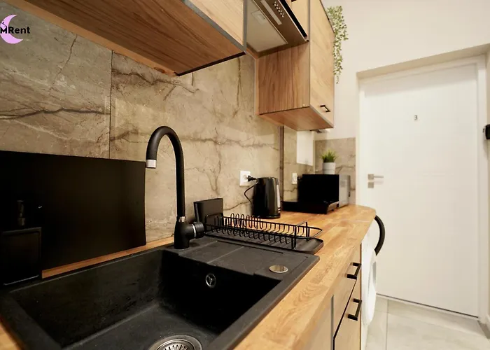 Mmrent Dinosaur * Gdańsk