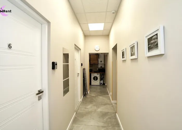 Mmrent Dinosaur * グダニスク