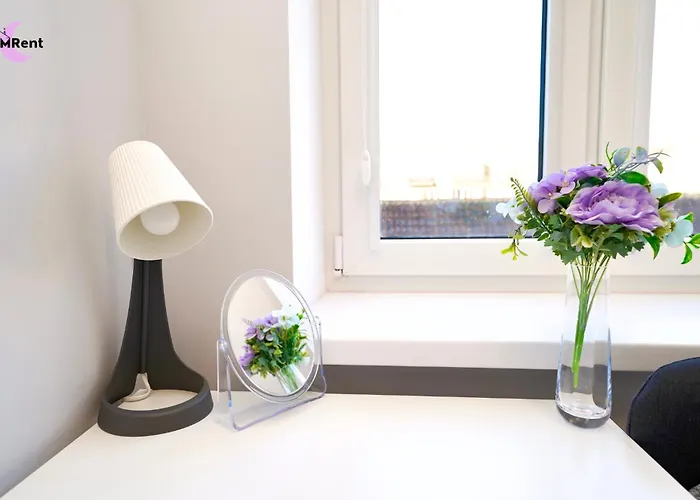 ホームステイ Mmrent Dinosaur *